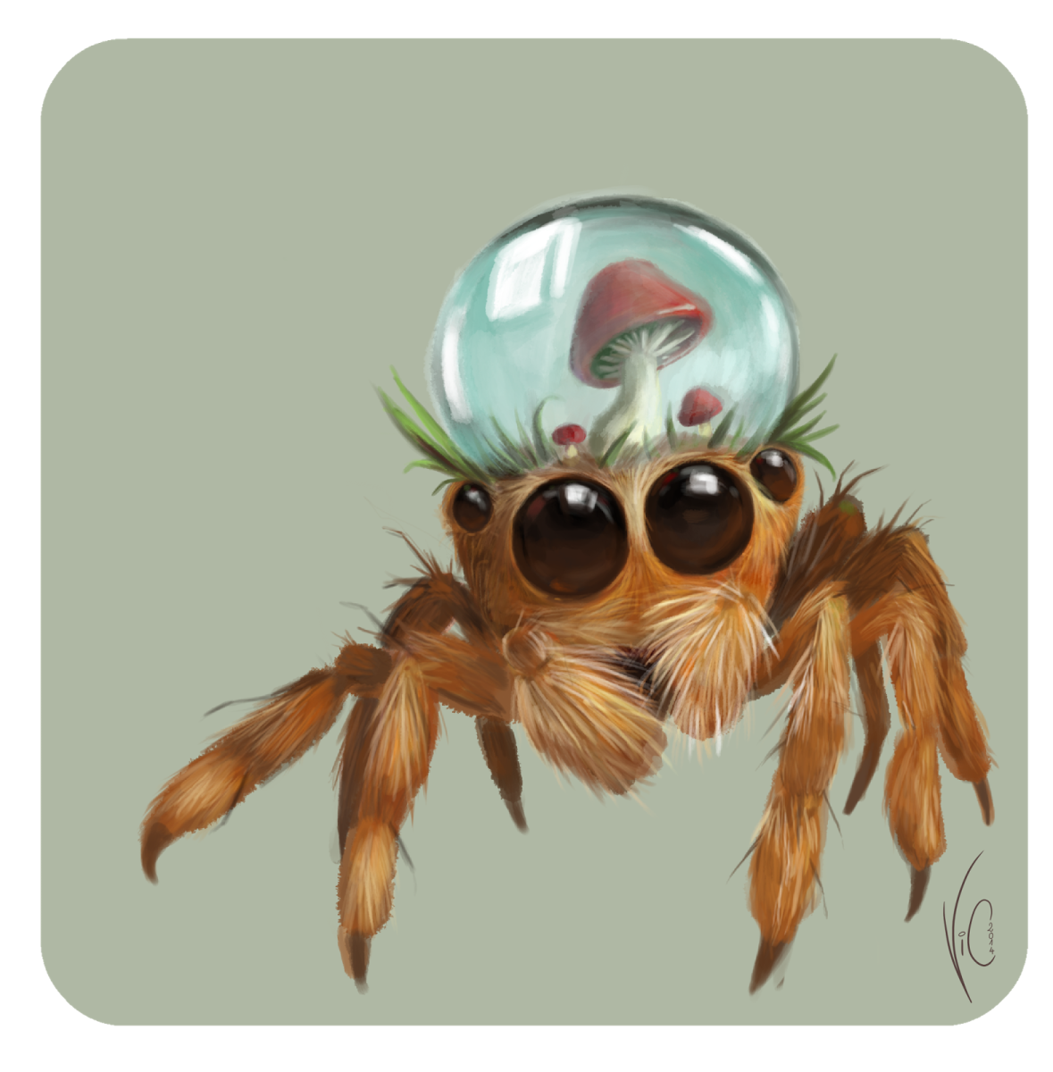 Милые паучки