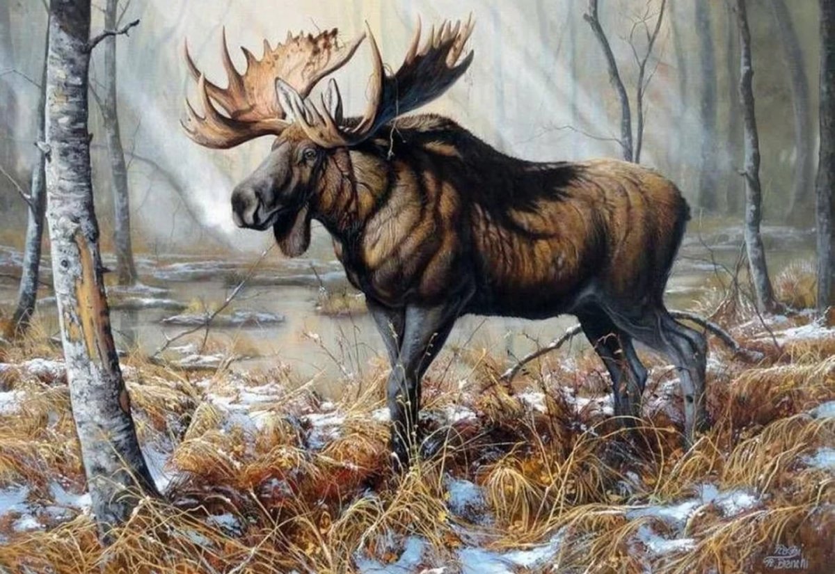 Картина художника Данчурова Лось