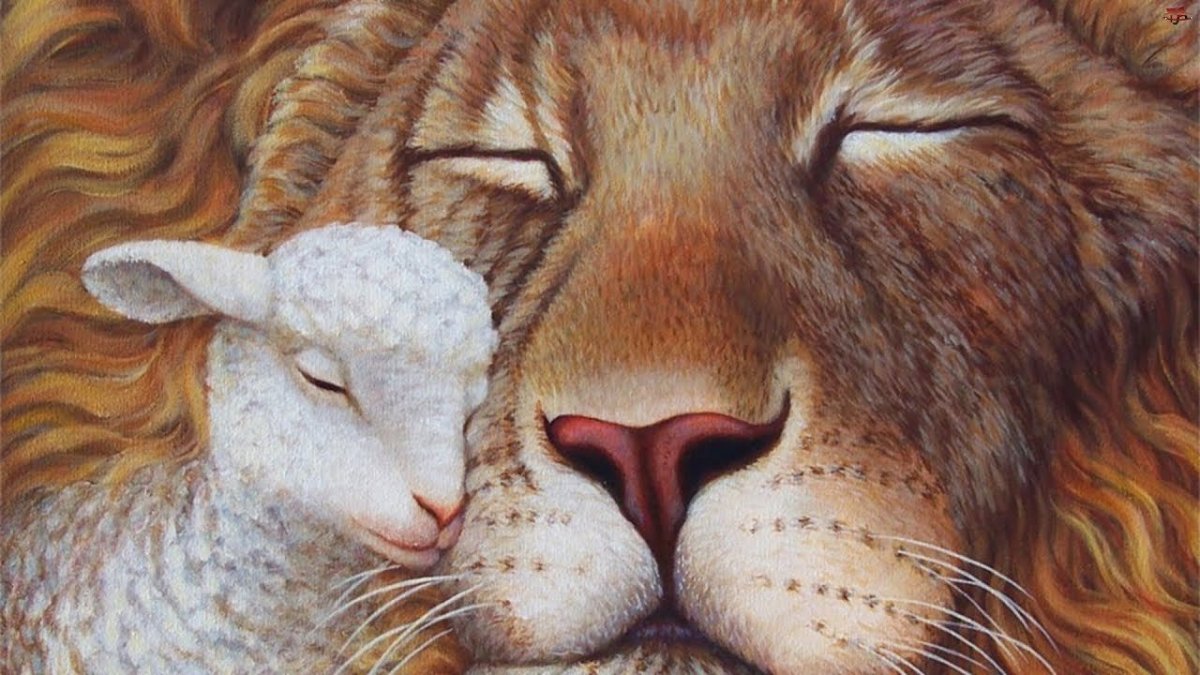 Космический Лев