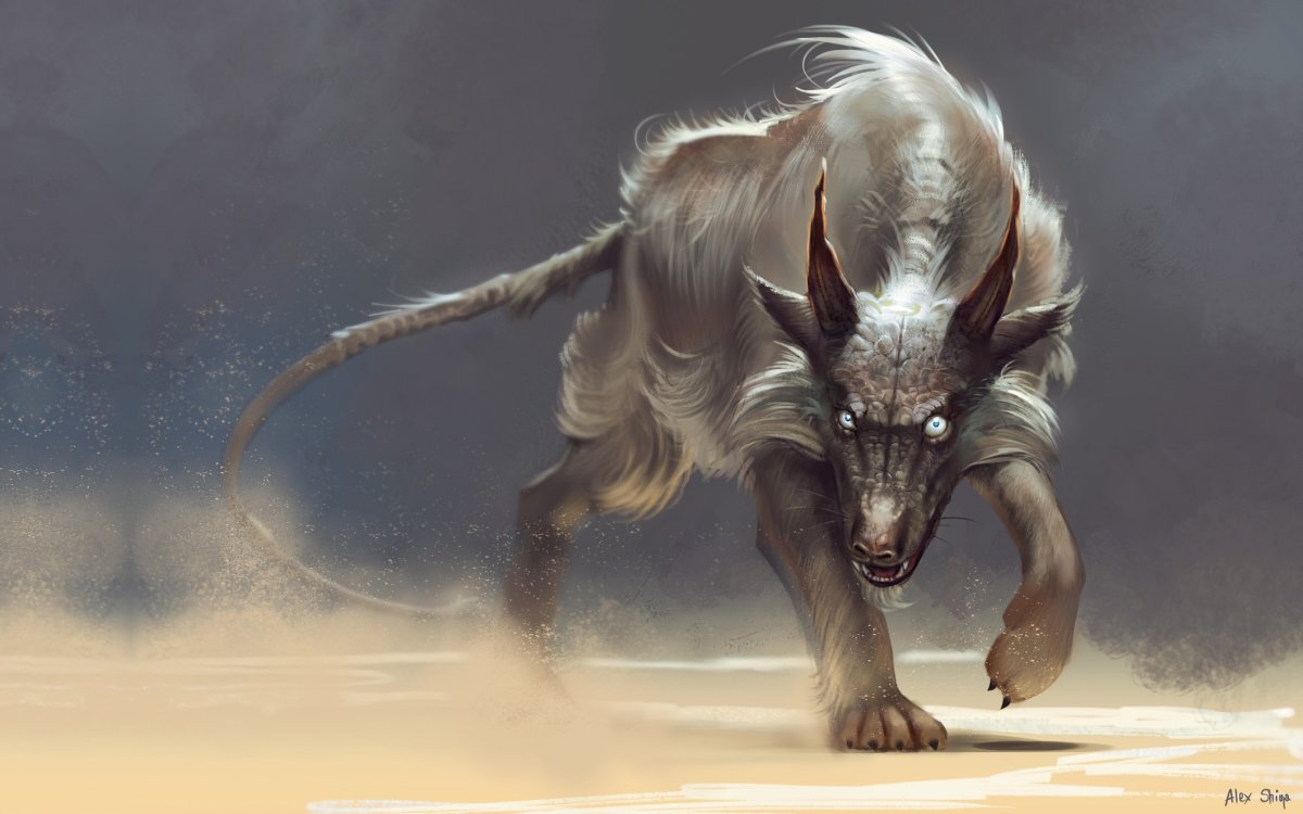 Guangjian Huang знаки зодиака