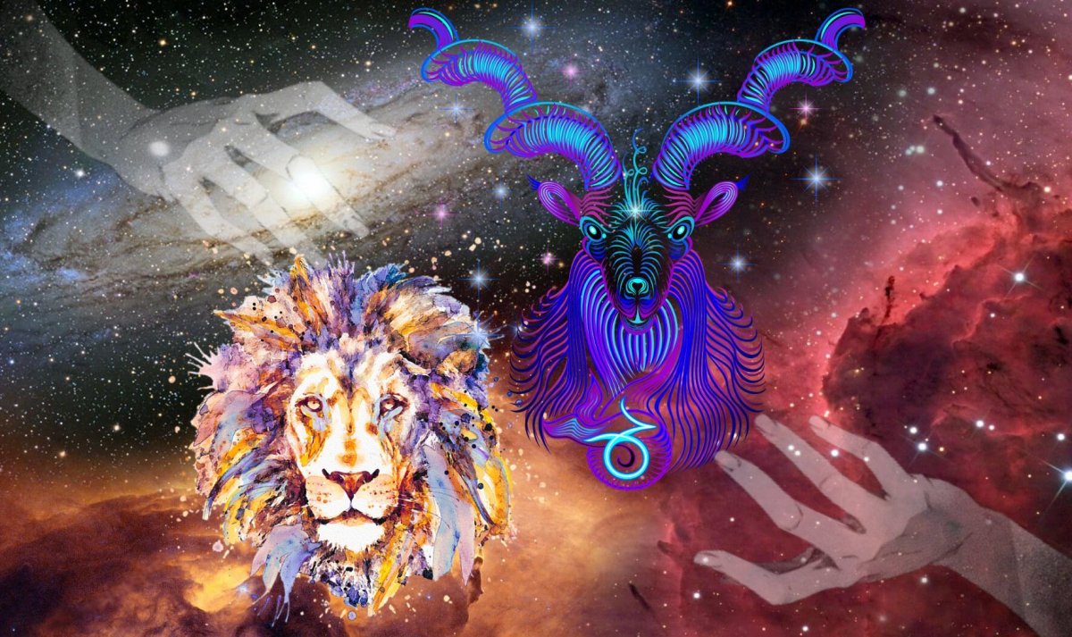 Минимализм животные