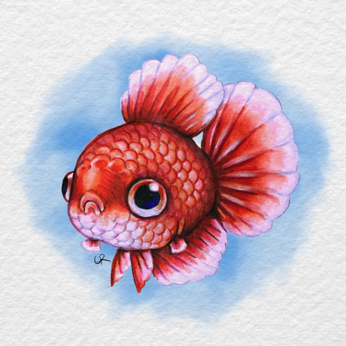 Самые смешные рыбы