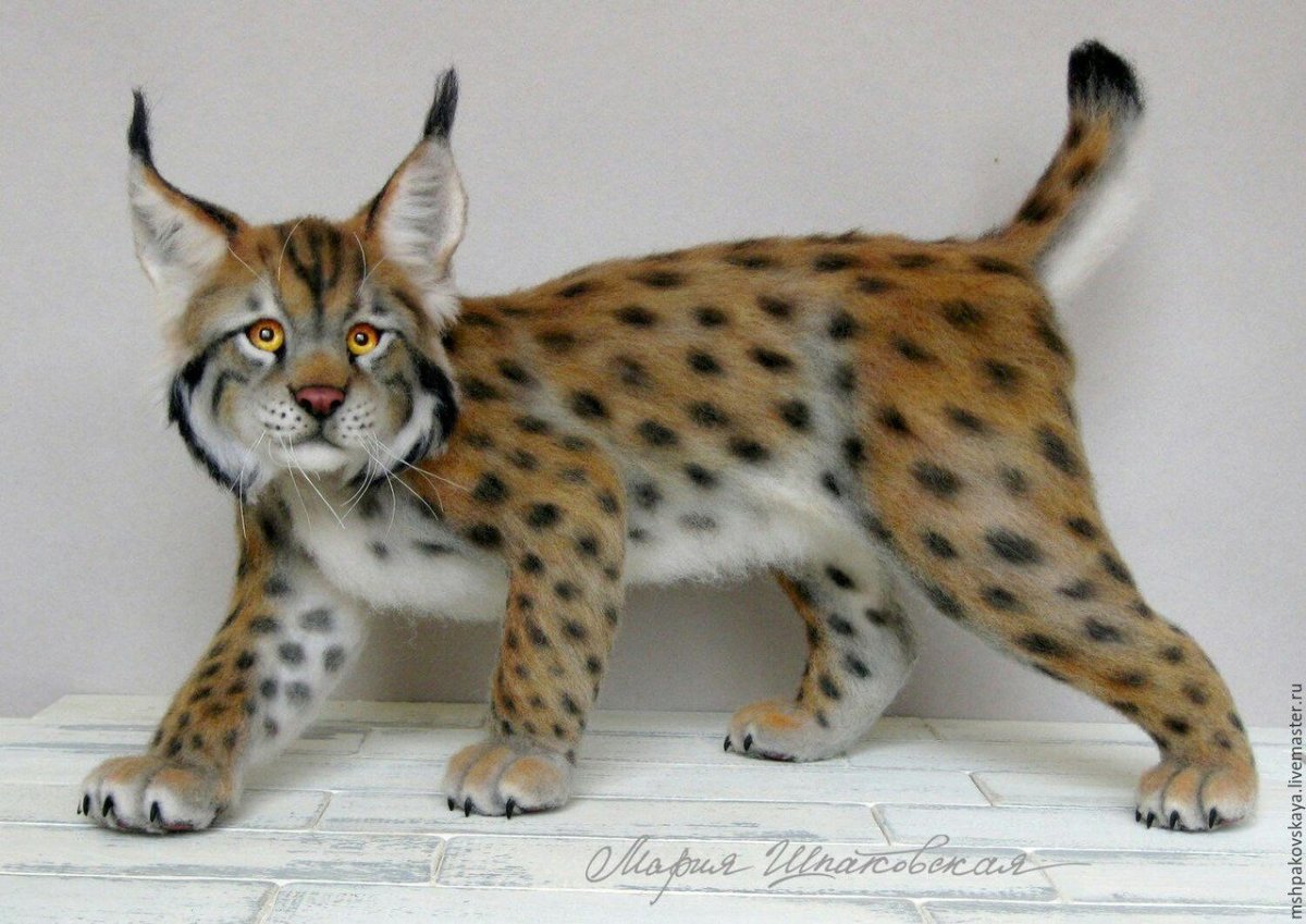 Рысь улыбается