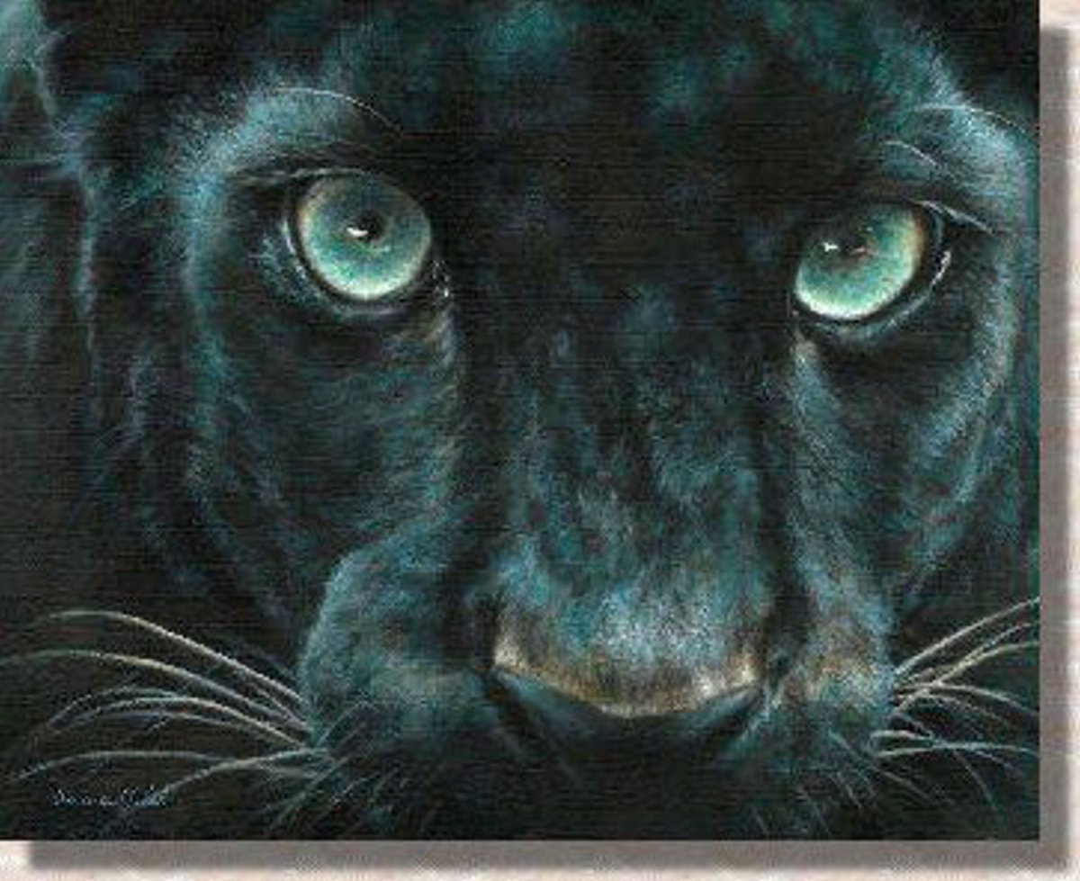 Пантера с голубыми глазами