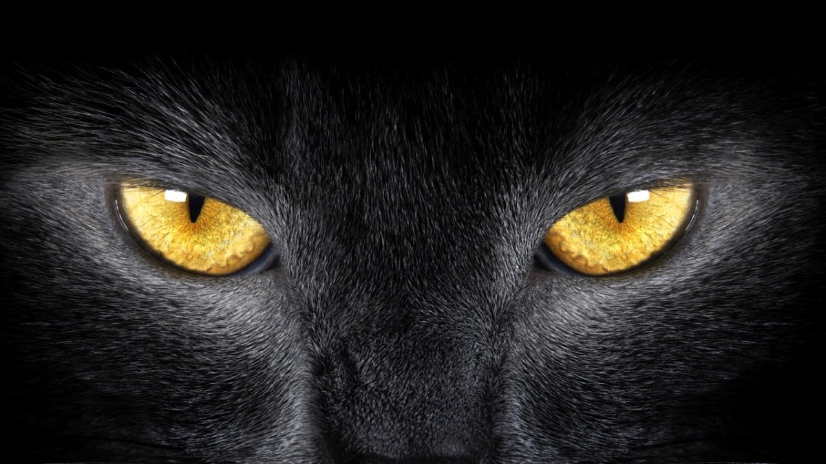 Светящиеся глаза