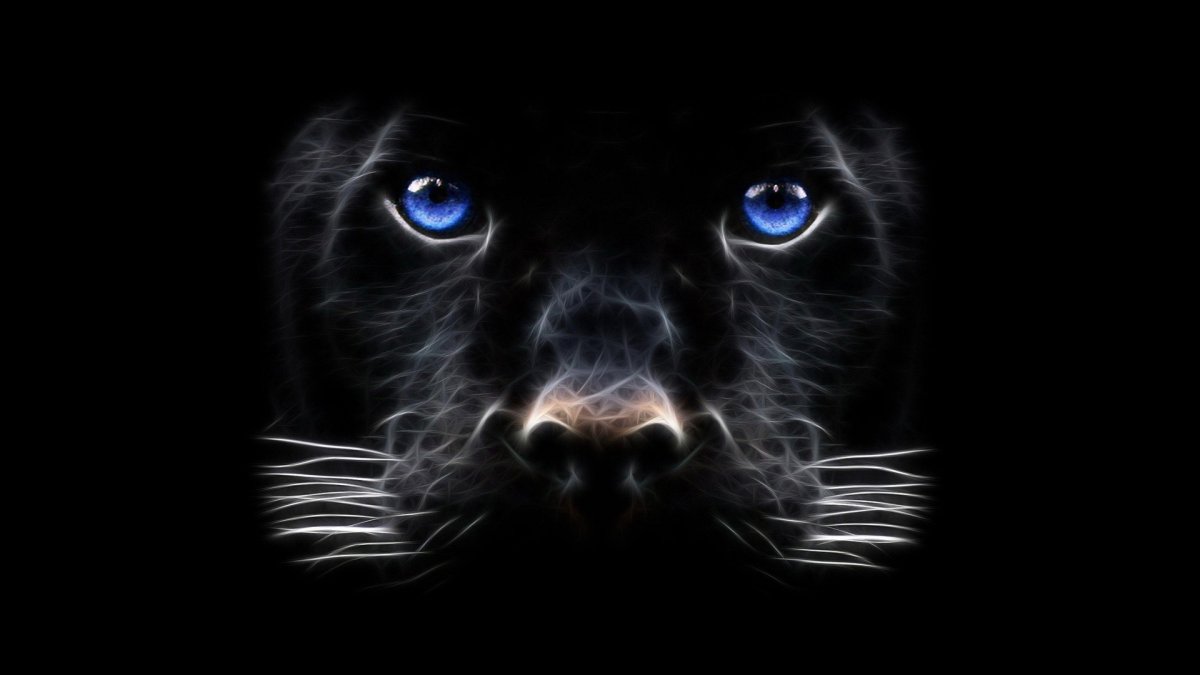 Пантера на темном фоне