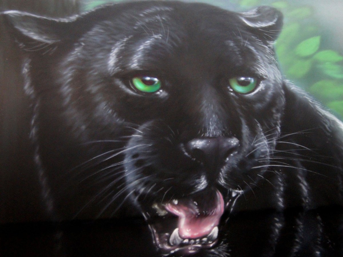 Взгляд из Темноты