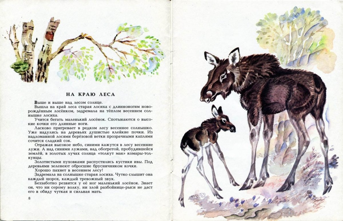 Соколов Микитов Лось