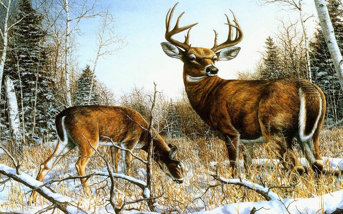 Образ золотого оленя