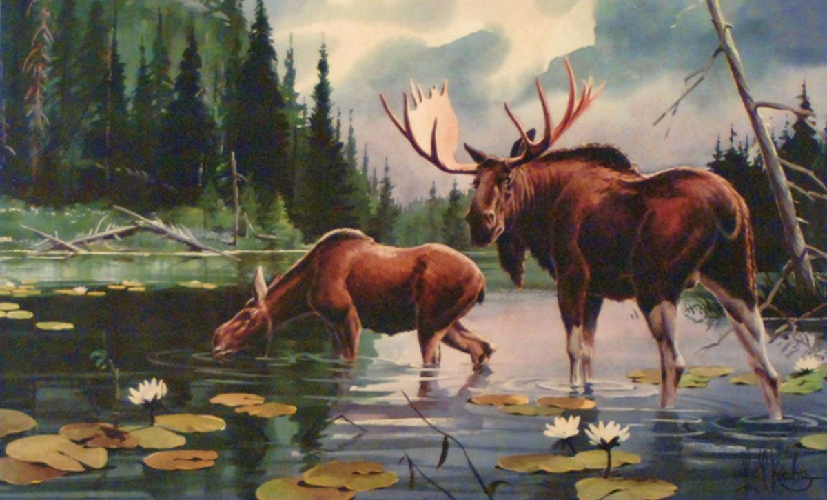 Художник Степанов лоси