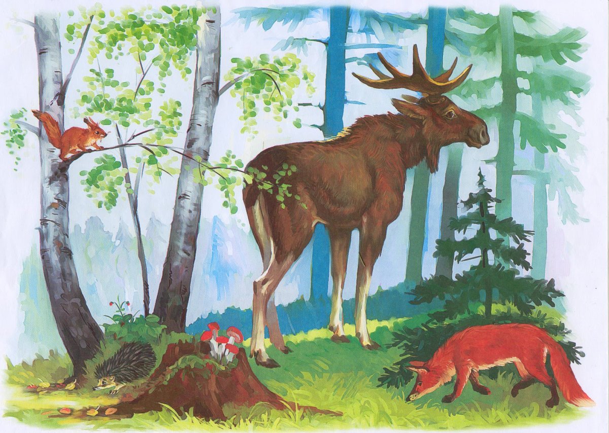 Лес с дикими животными