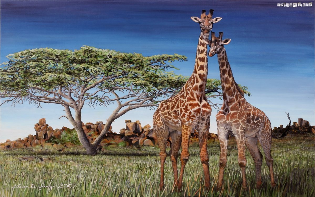 Жираф Саванна Африка