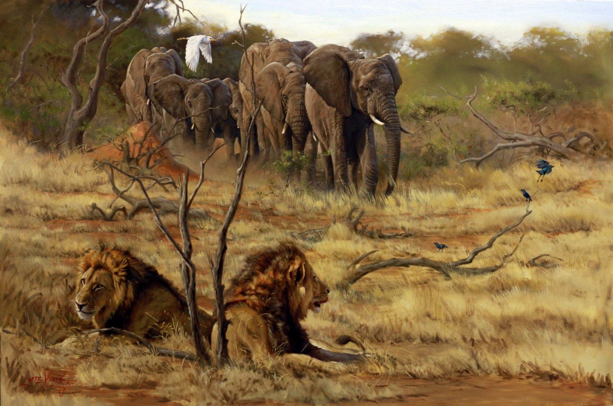 Художник Lute Vink