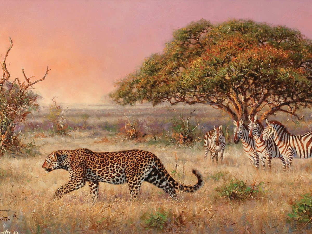 Саванна Африка Африка животные