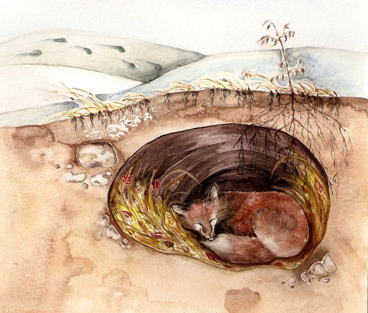 Лисья Нора Стикеры