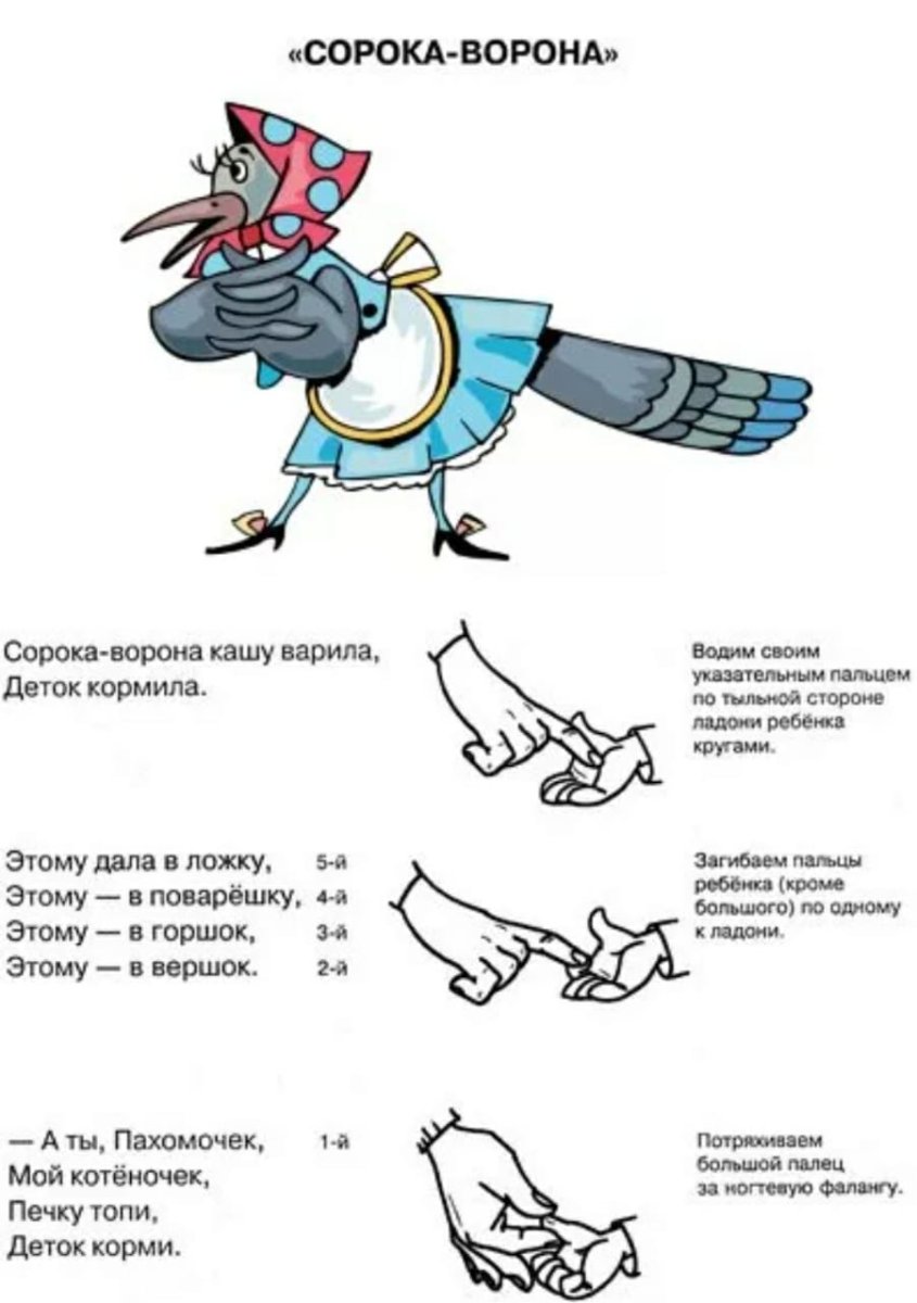 Сорока из мультфильма