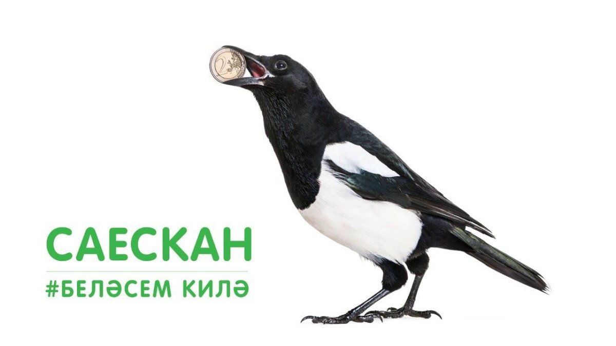 Книжный иллюстратор Юрий Васнецов