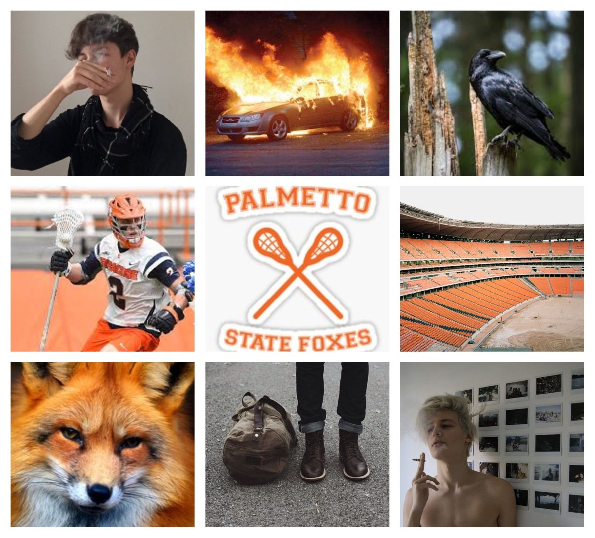 Лиса в норке