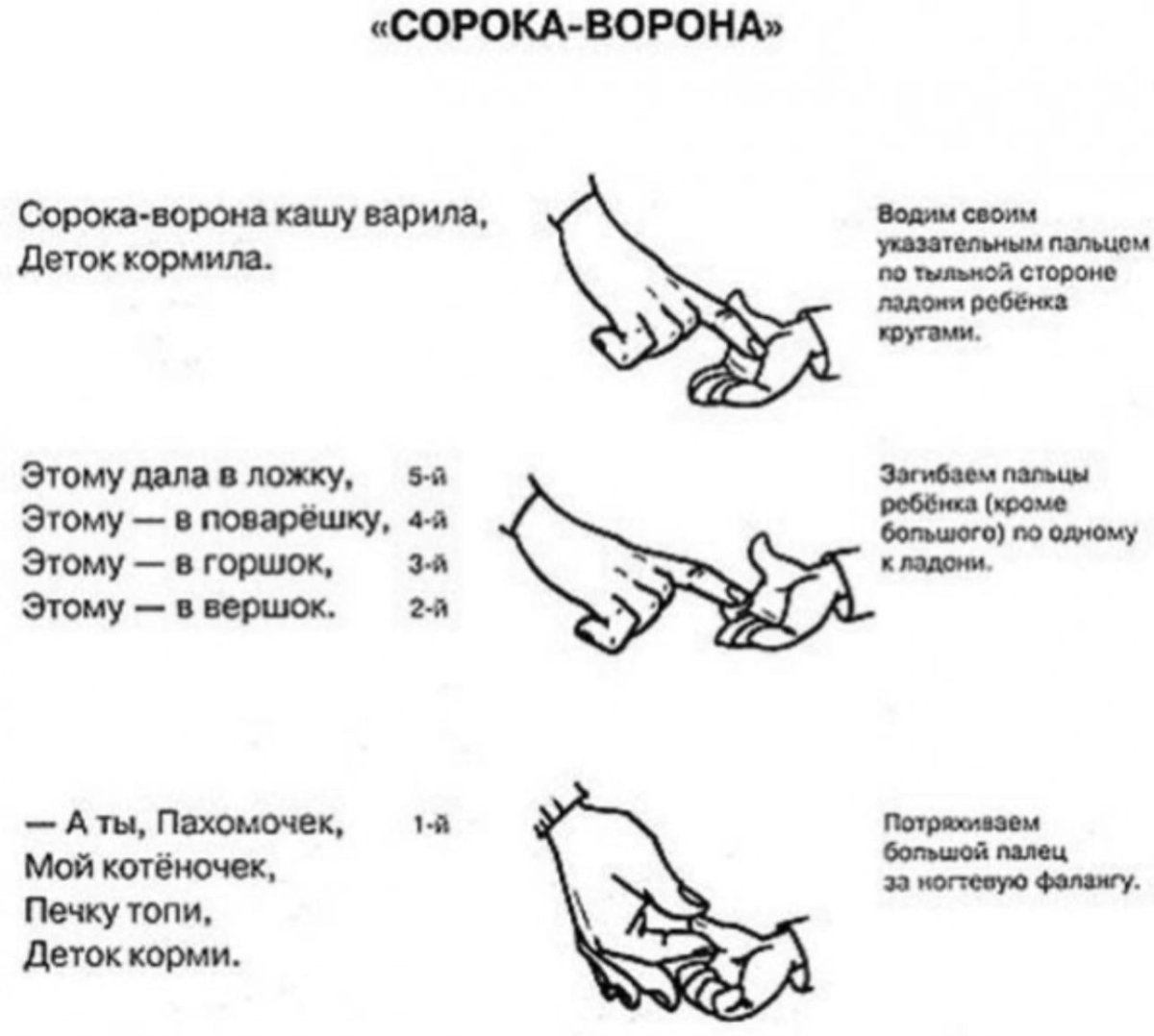 Гавран ворон