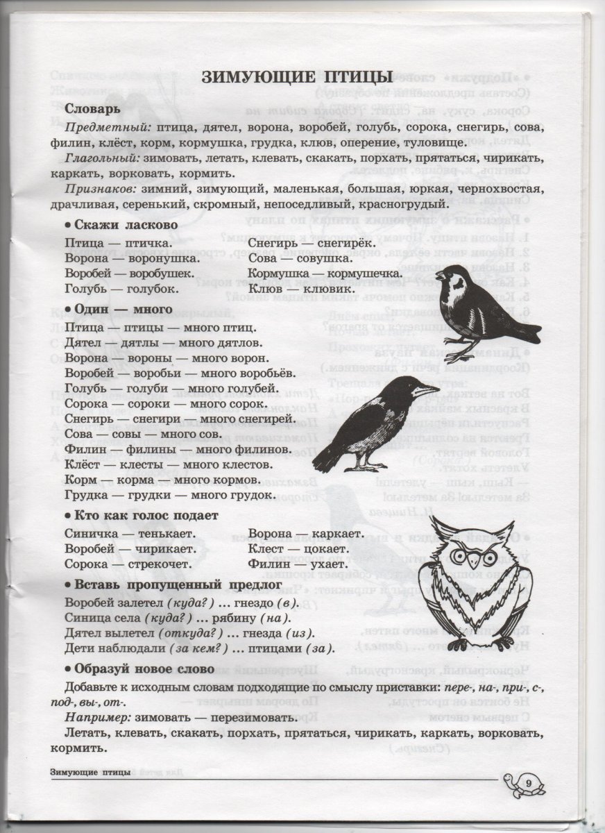 Ворона в очках