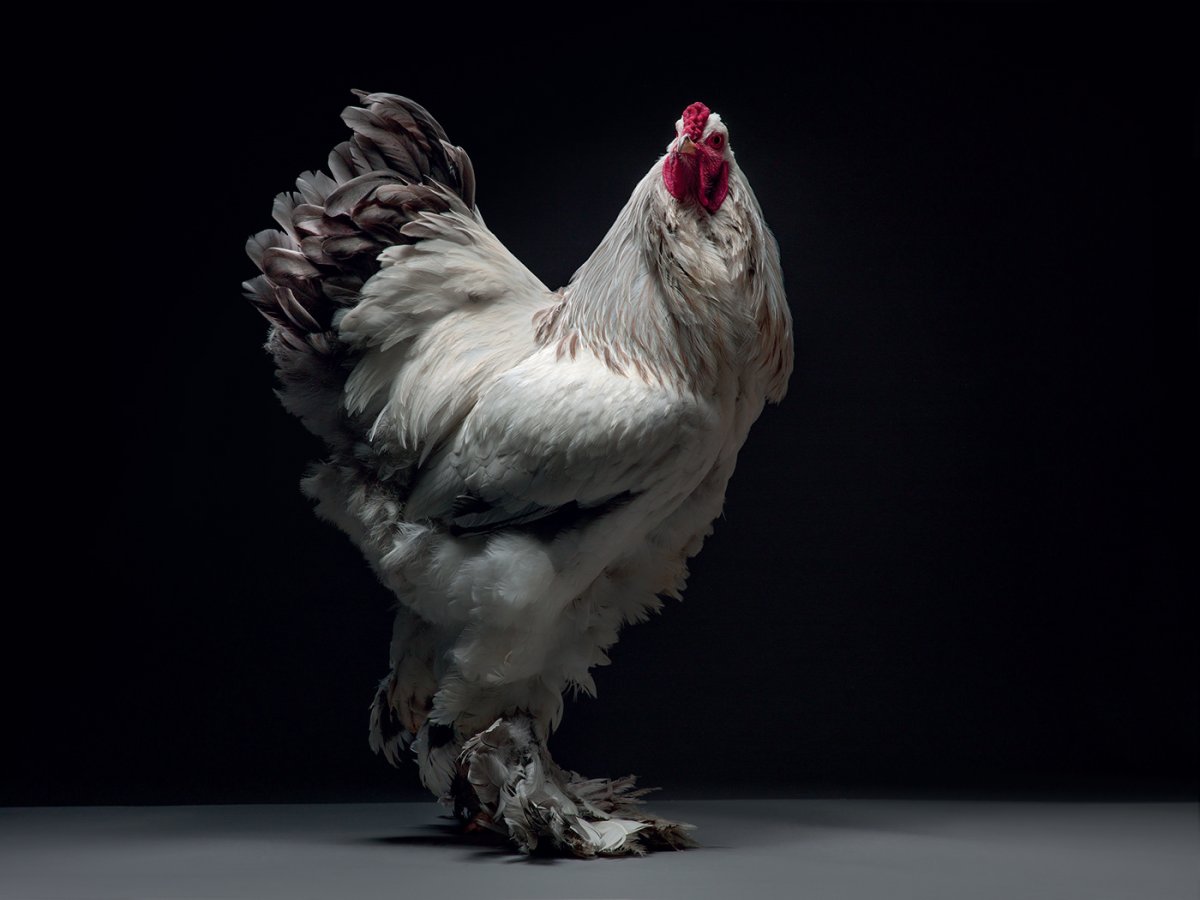 Фотографы Moreno Monti и Matteo Tranchellini