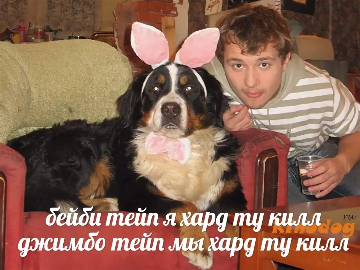 Барон порода