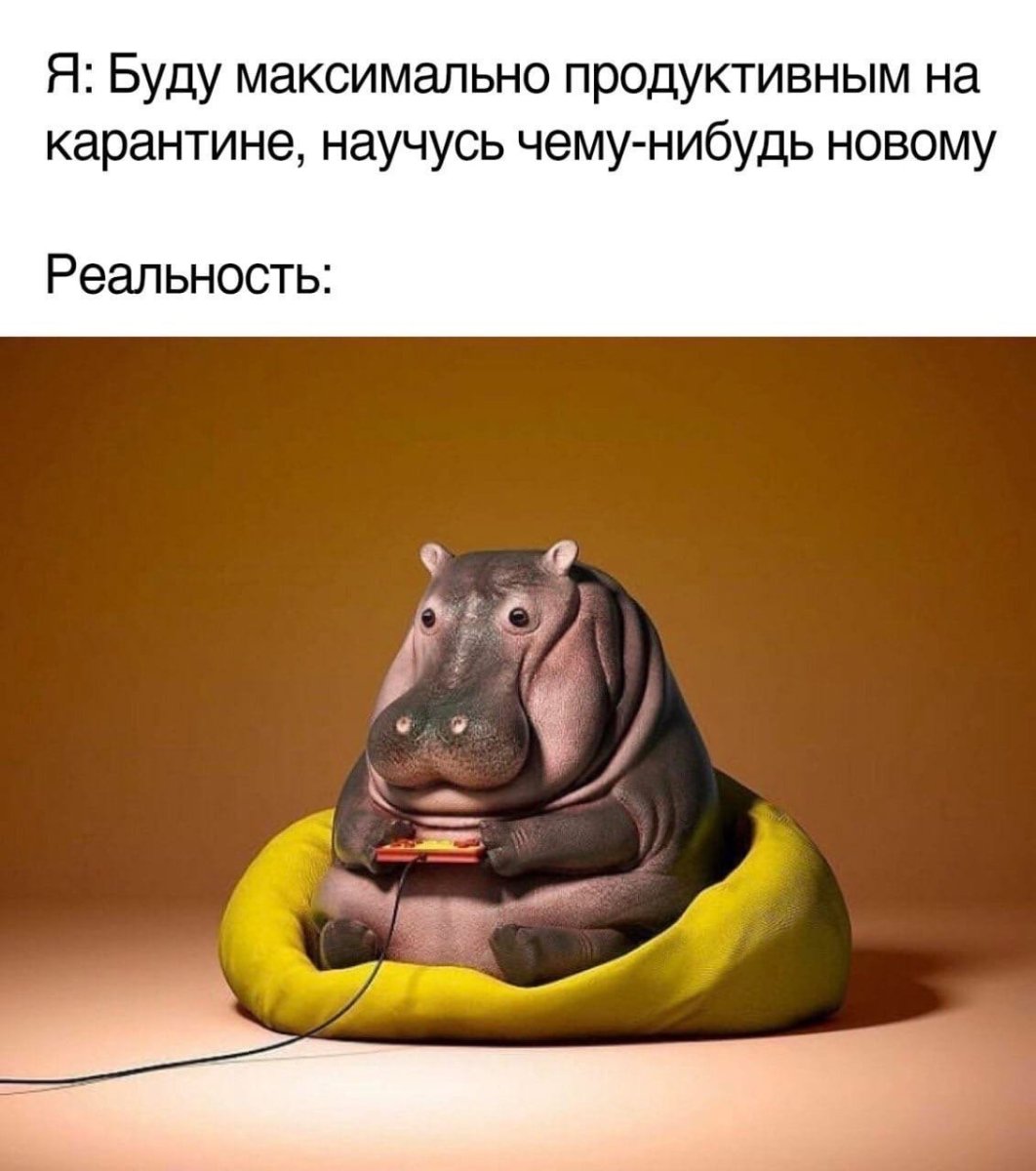 Прикольный Бегемот