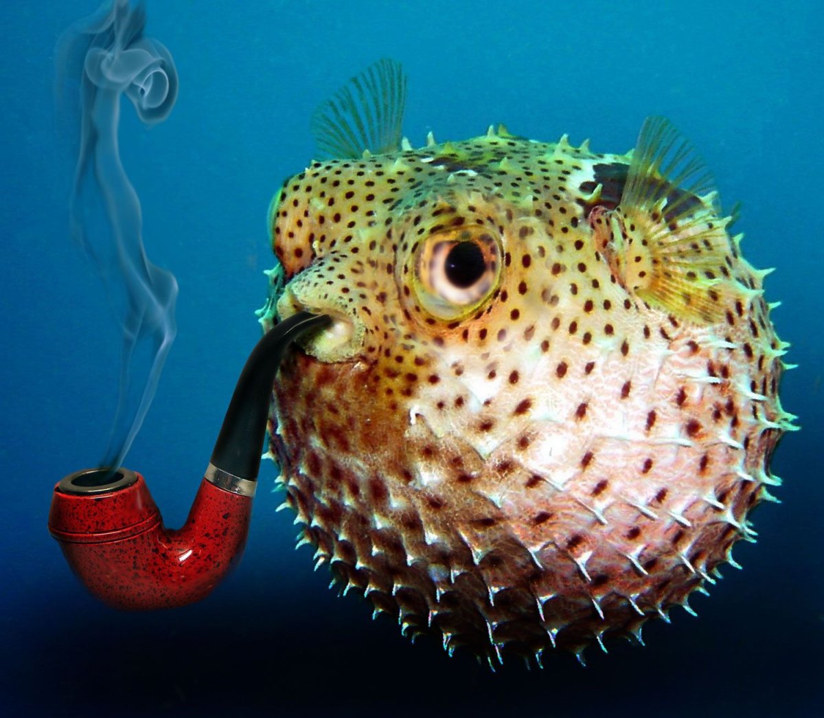 Иглобрюх Геншин