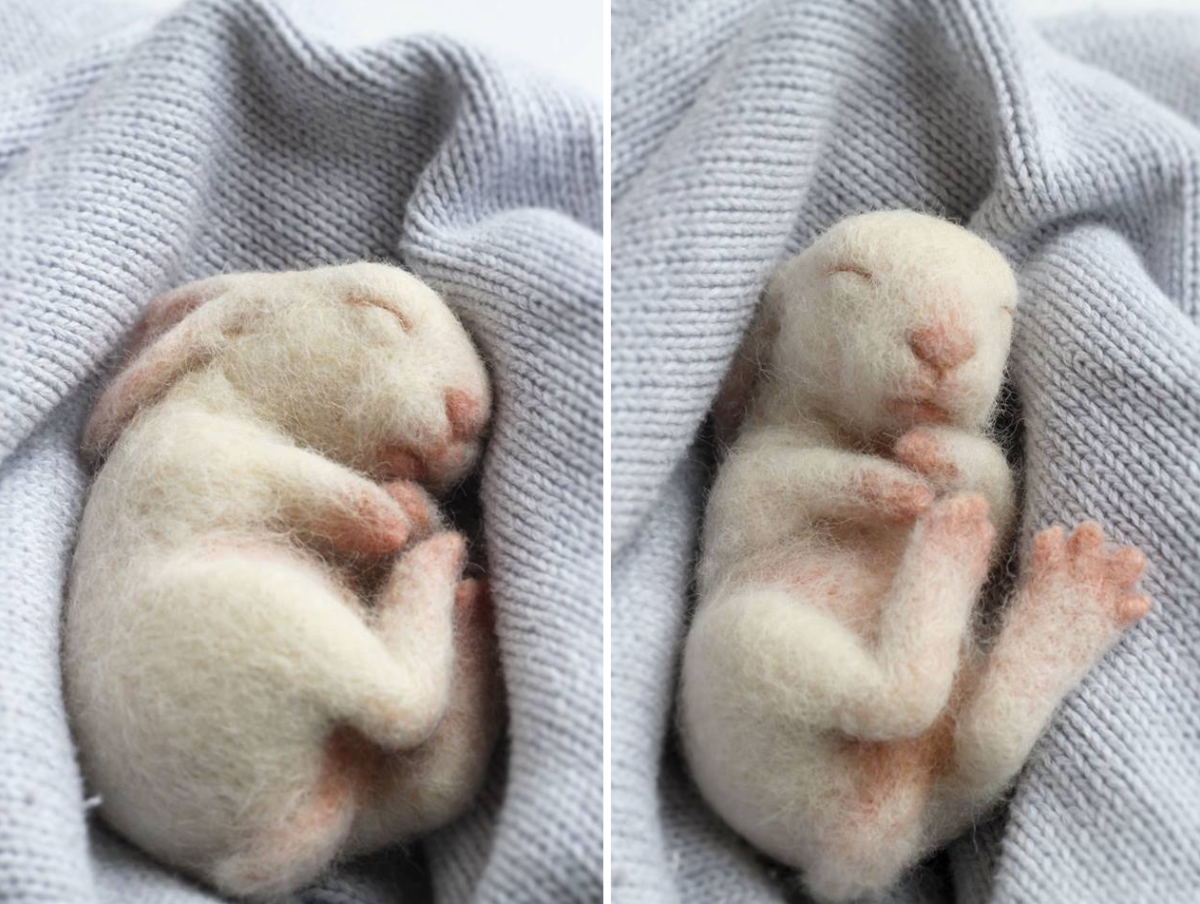 Лапка котика подушечки