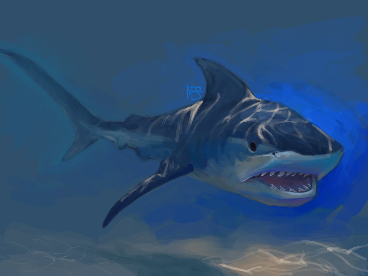 Вымершая акула МЕГАЛОДОН