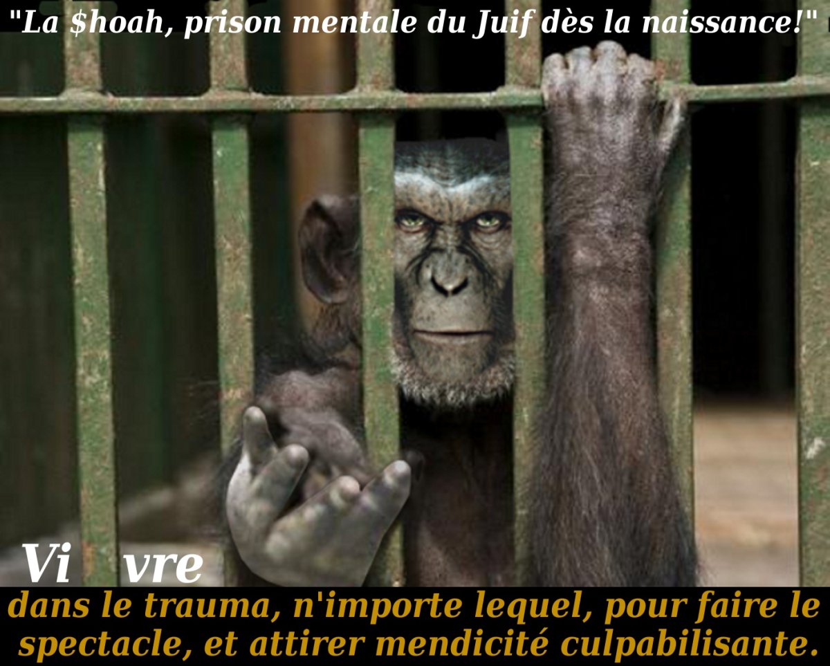 Грустная обезьянка мультяшная