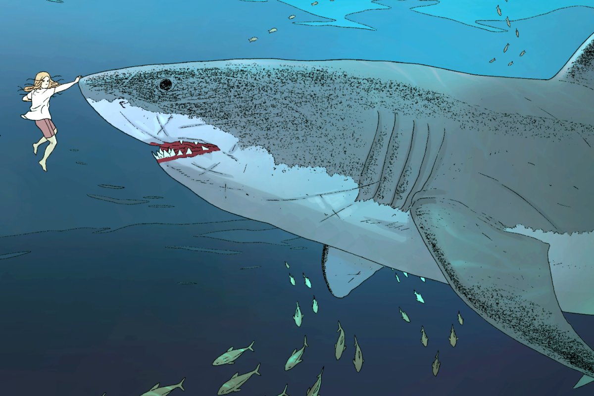 МЕГАЛОДОН И синий кит
