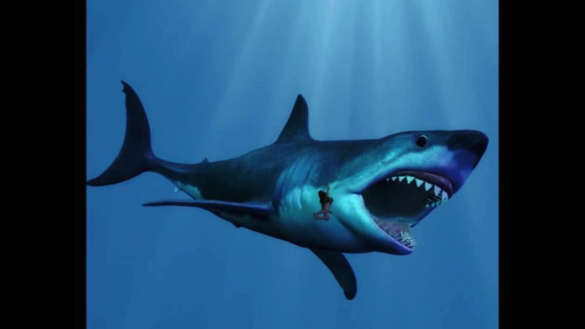 Акула МЕГАЛОДОН