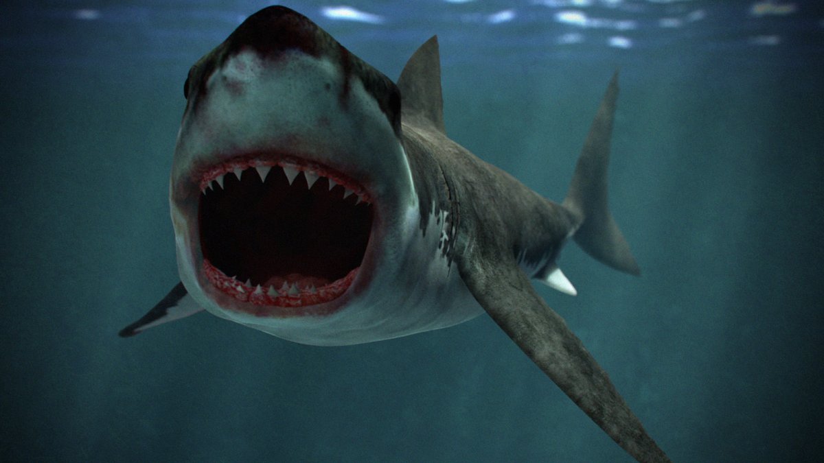 Страшные акулы МЕГАЛОДОН