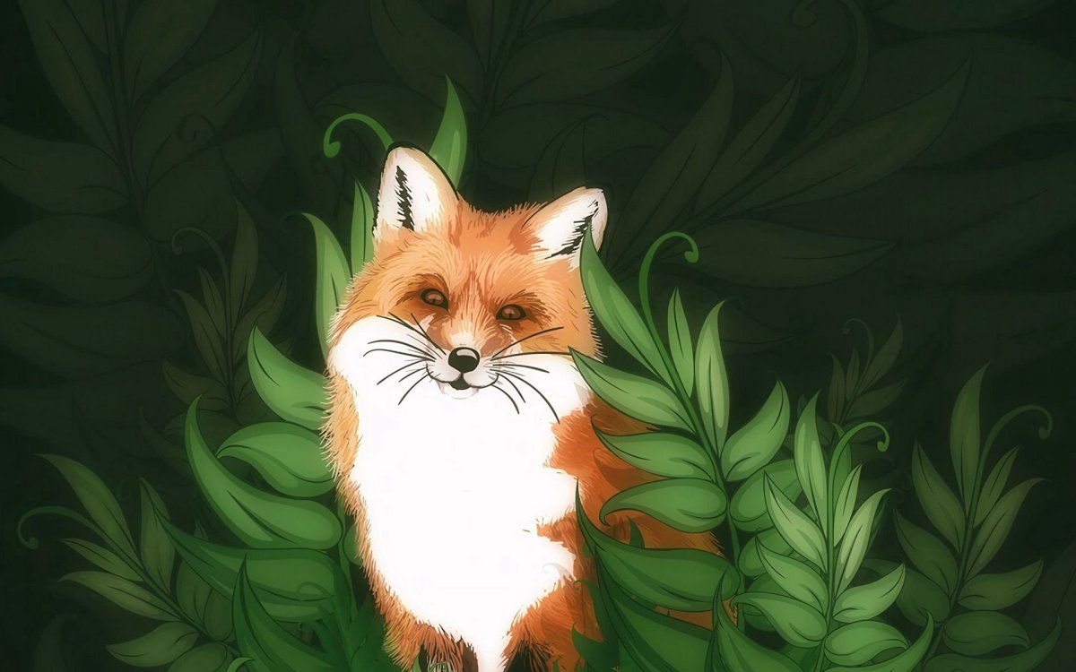 Лисы на рабочий стол