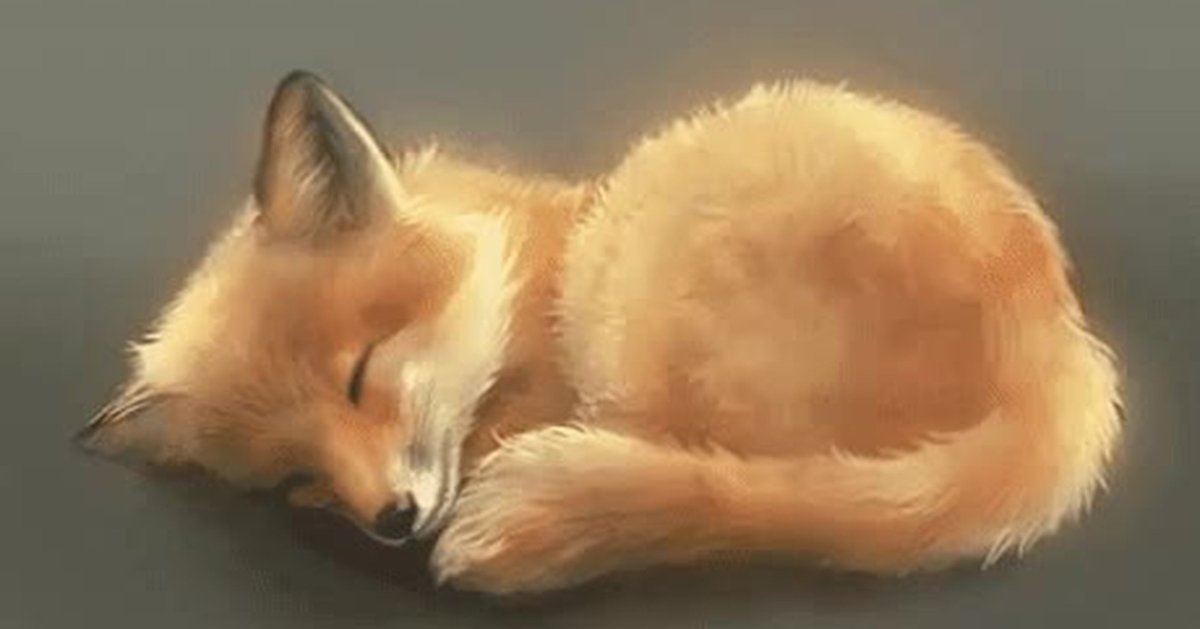 Лиса спит клубочком