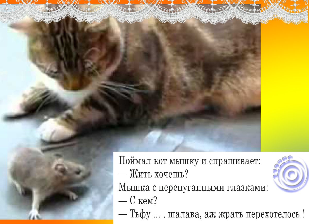 Рыжий кот Крысолов