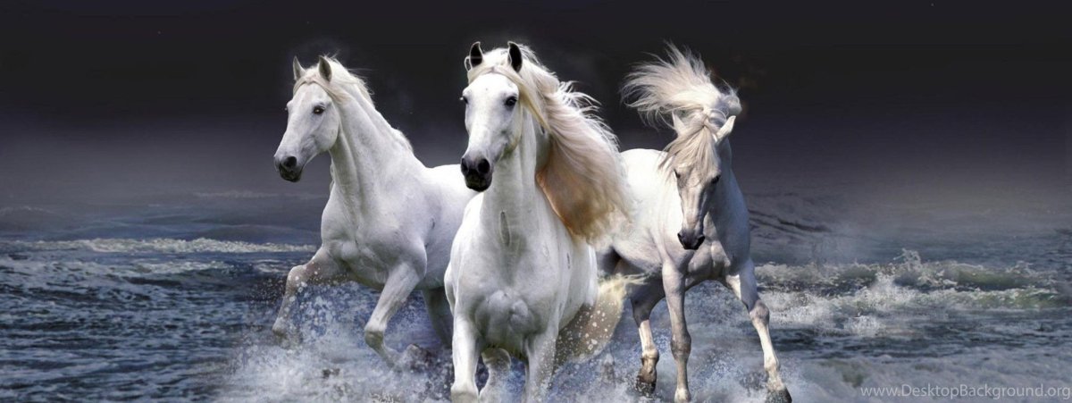 Картина лошади