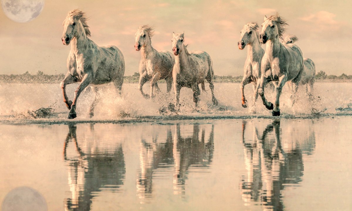 Кони бегущие по воде