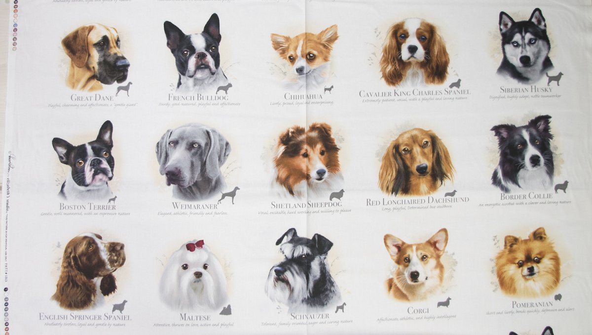 Плакат породы собак маленькие