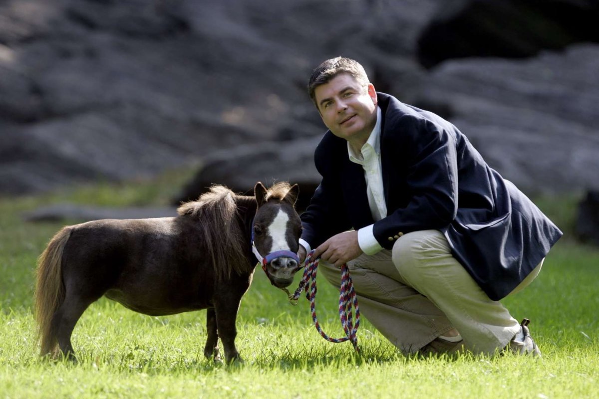 Лошади с жеребятами мир природы.животные