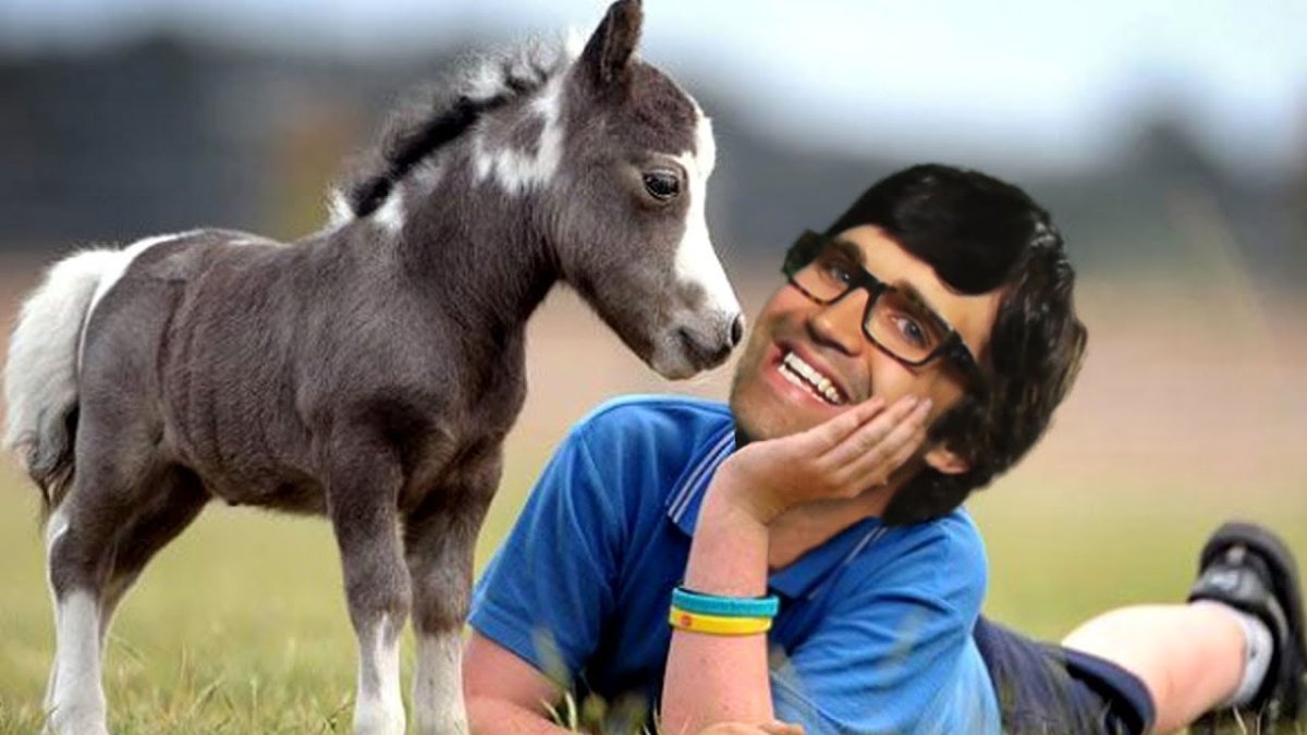 Лошадей маленьких парней