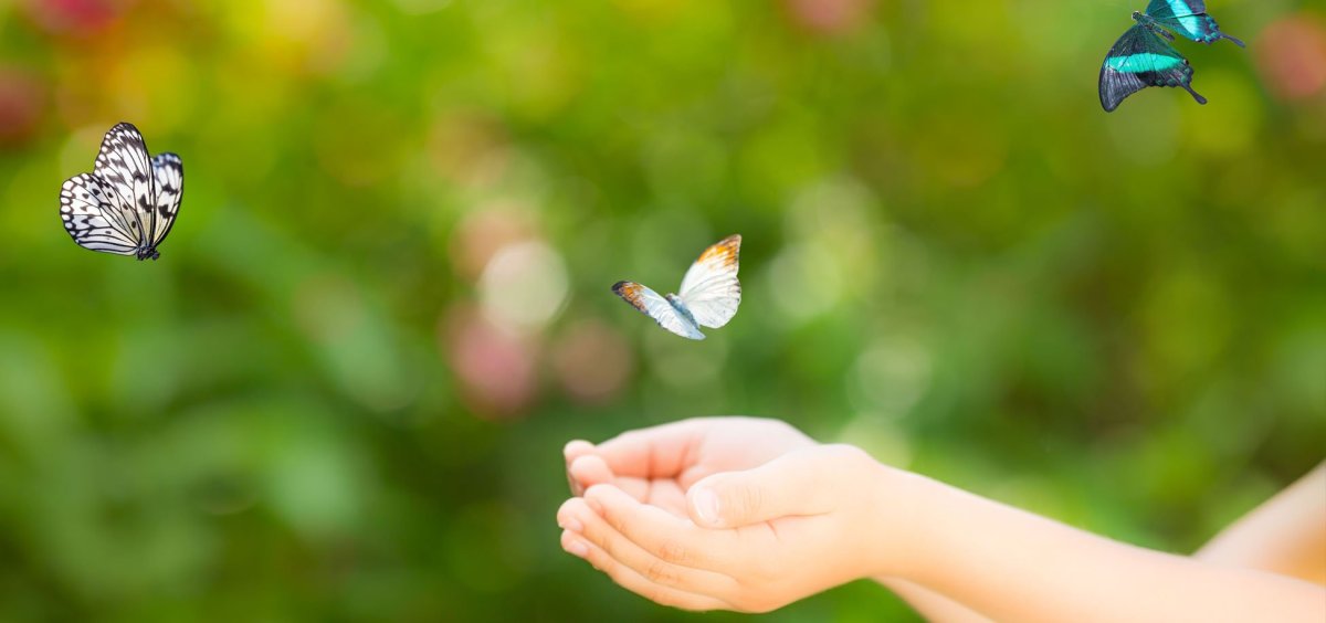 Бабочка улетает с ладони