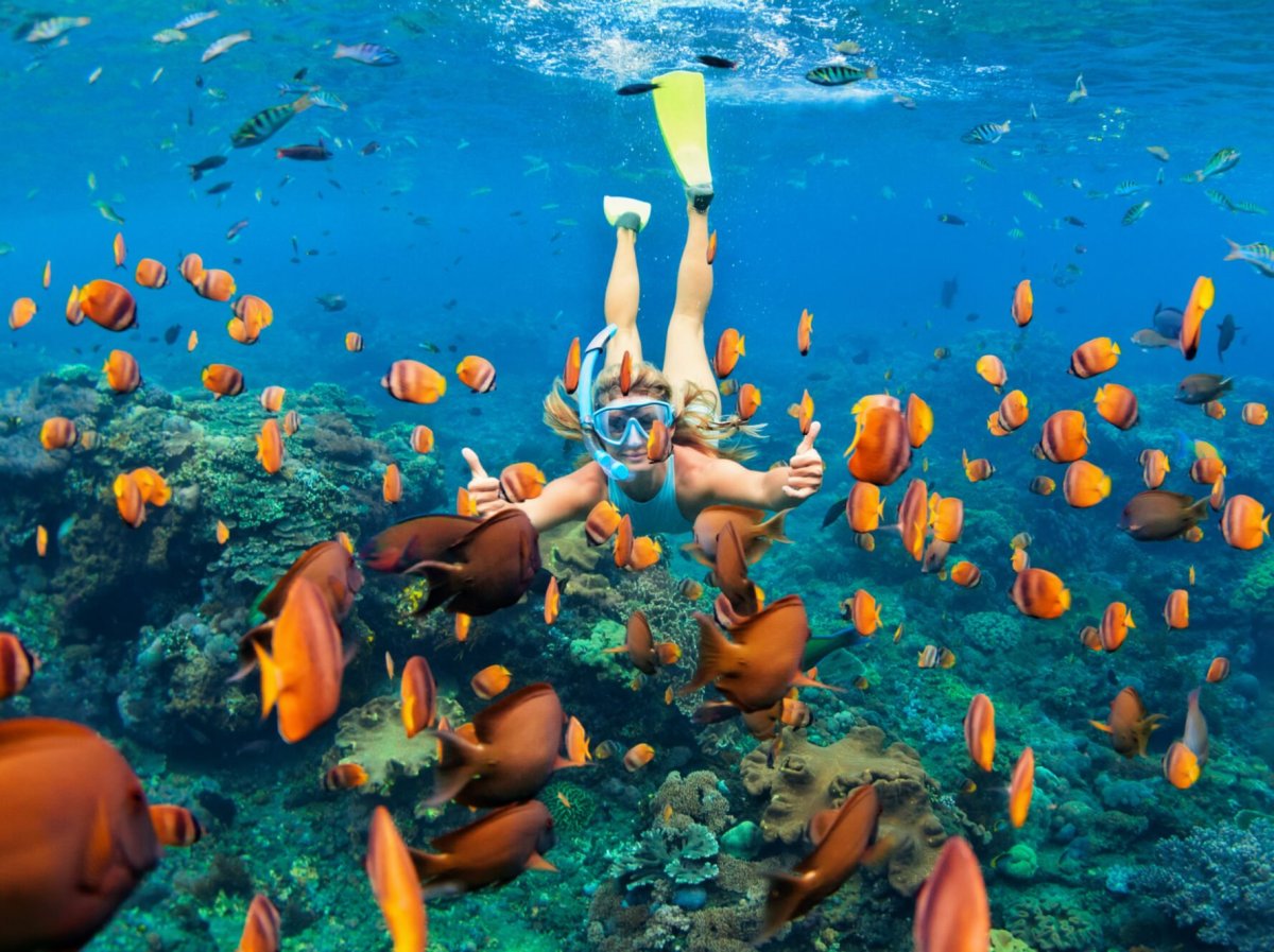 Снорклинг на Мальдивах