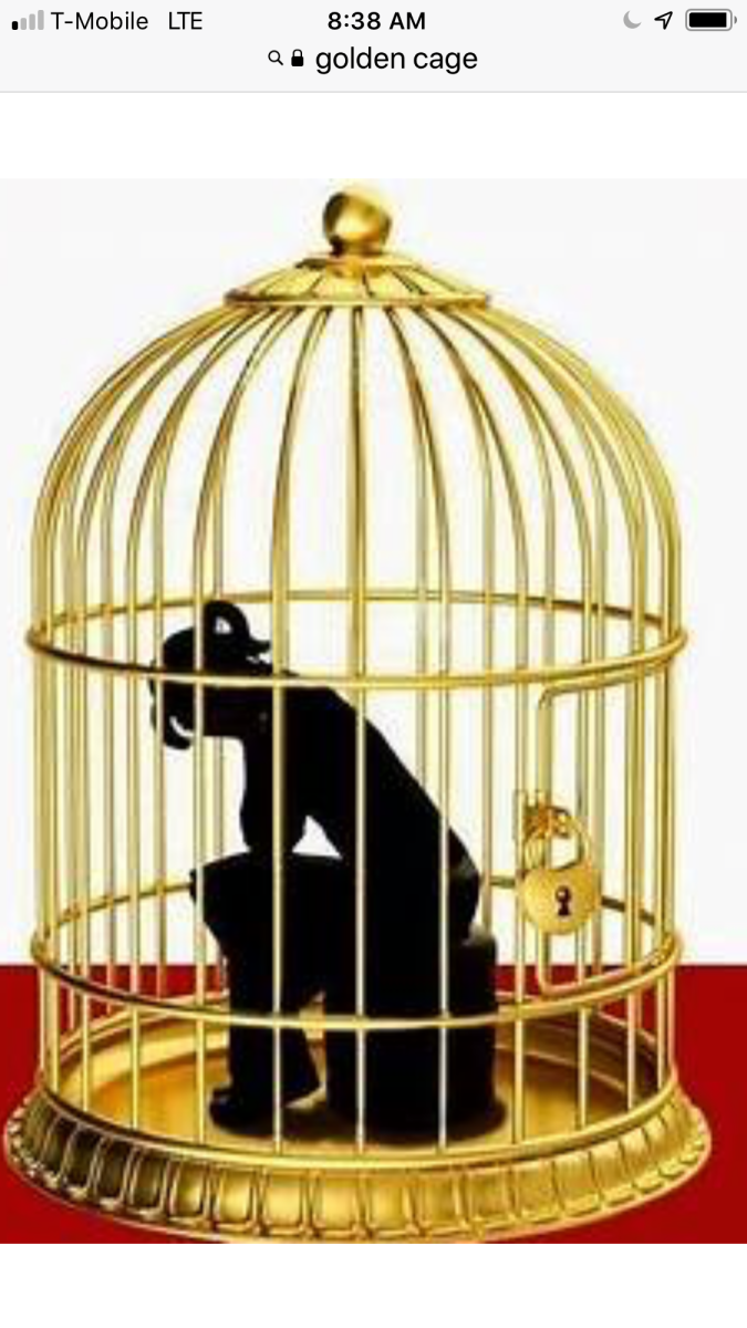 Птица в клетке