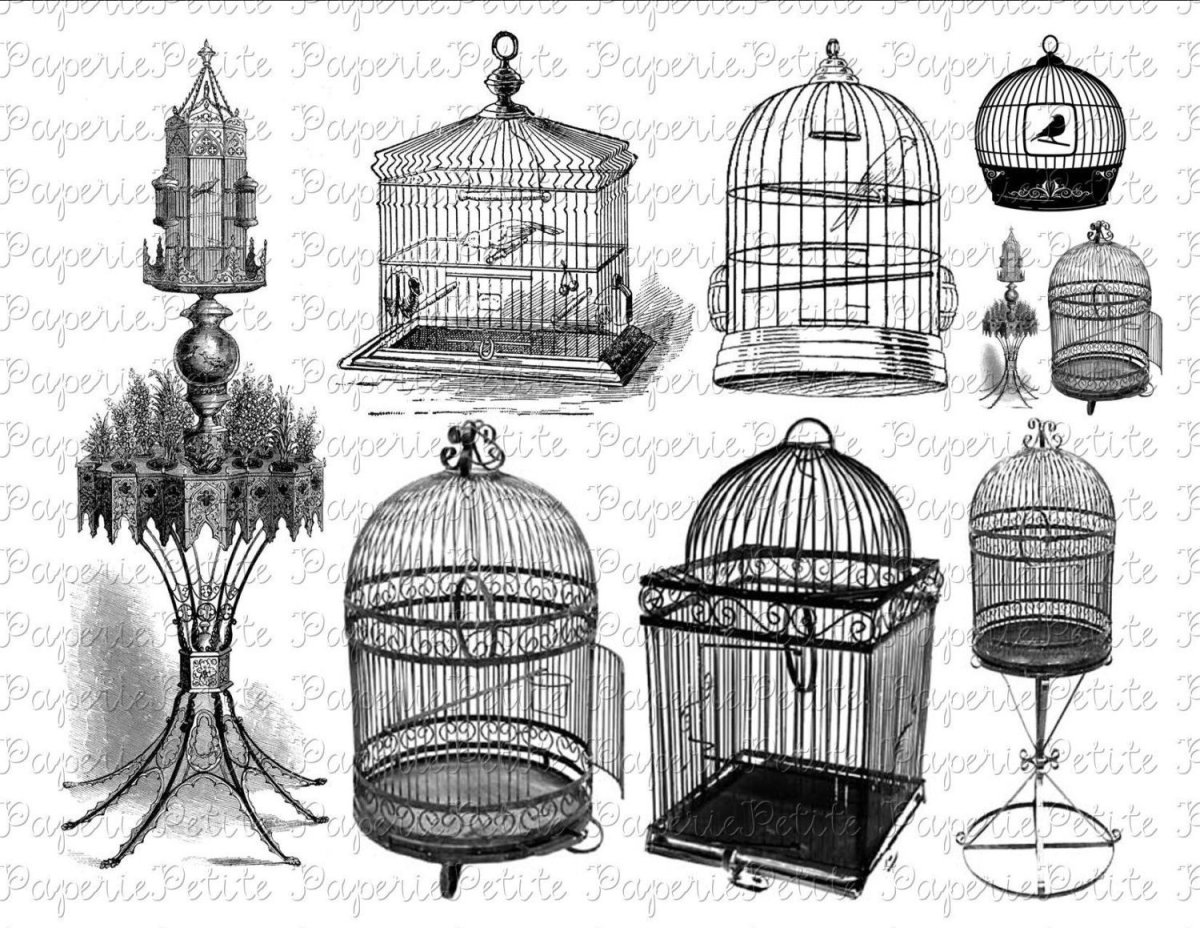 Девушка в маленькой клетке