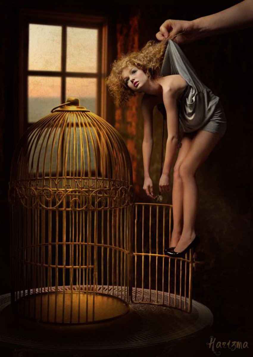 Выпустить птицу из клетки