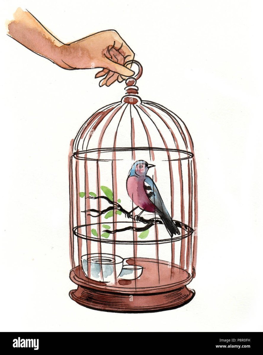 Девушка в клетке