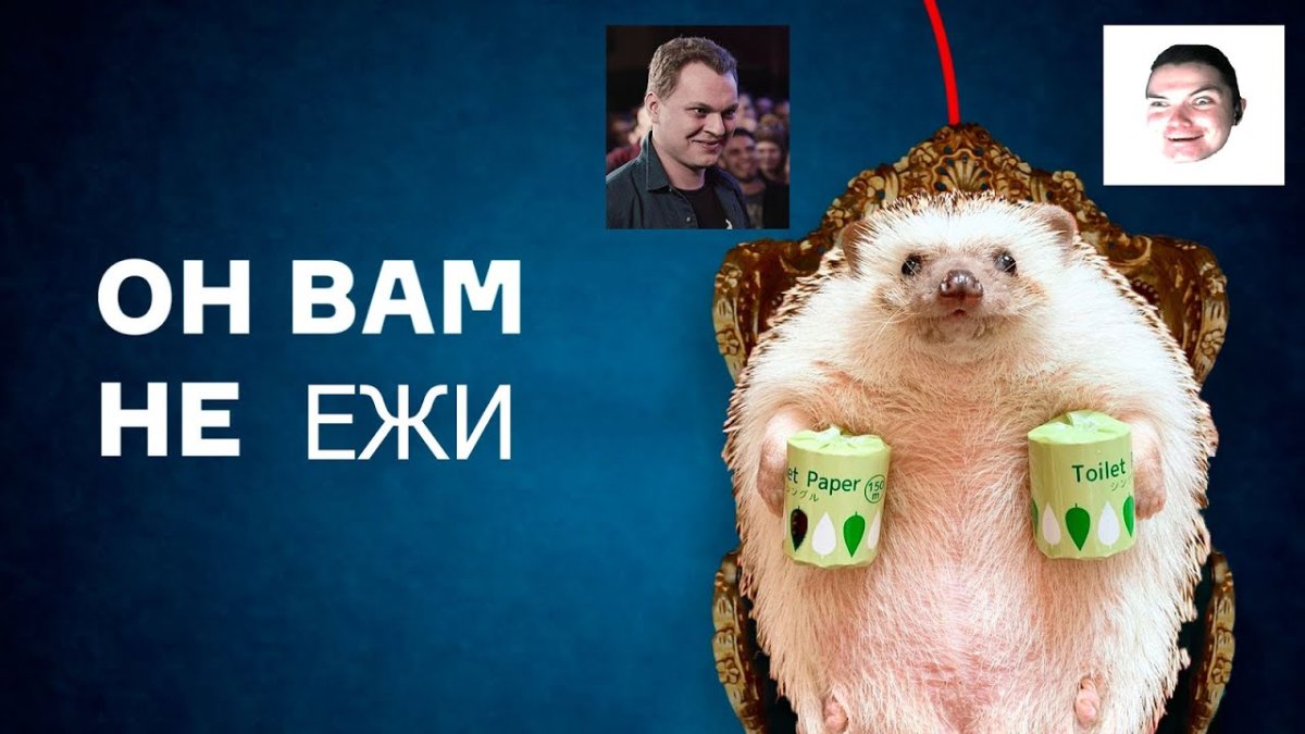 Ежик и вкусняшка