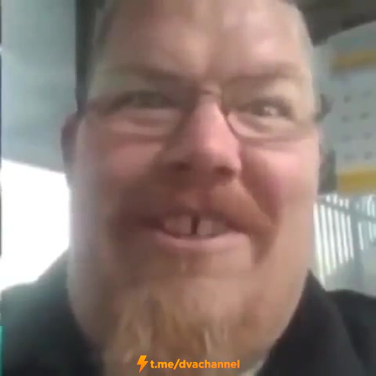 Красивый большой еж